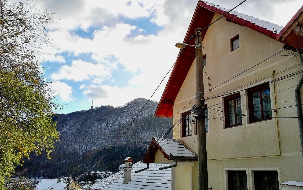 Vila Paul Best Paronamic View Over Medieval Historical Centre Brasov Exterior photo